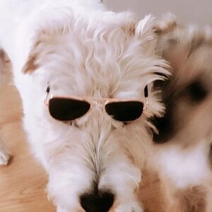 Meet your Posher, Stacy